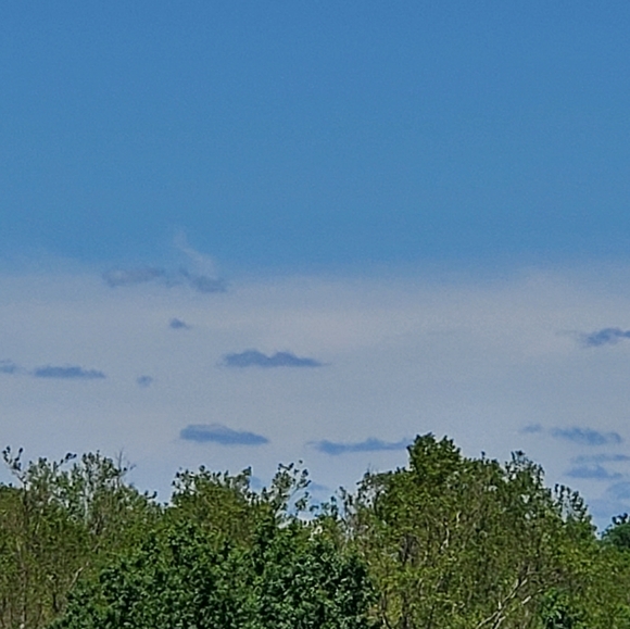 Blue - Picture 5 of 5